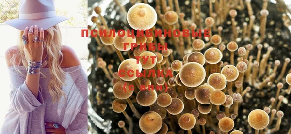 прущая мука Балабаново