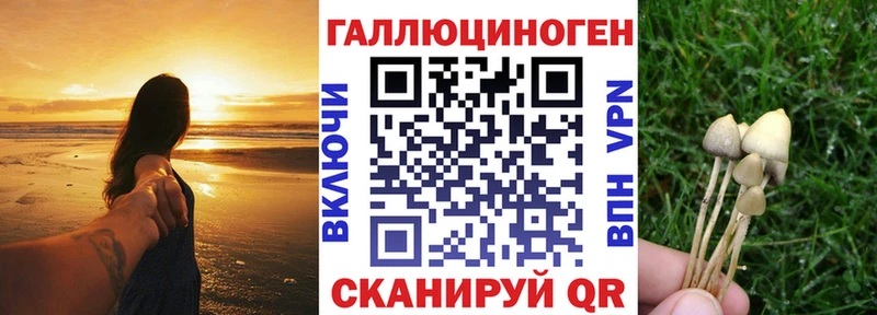 Галлюциногенные грибы Cubensis  Тайшет 